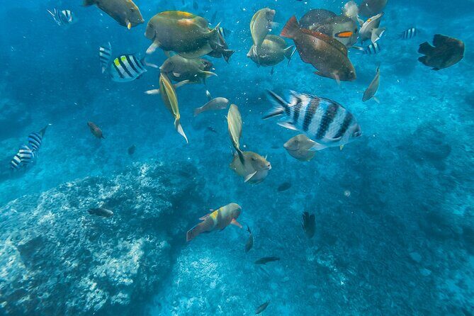 Gili Nanggu,Gili Kedis & Gili Sudak Hopping island & Snorkeling Tour - Final Thoughts: Why Choose This Tour?