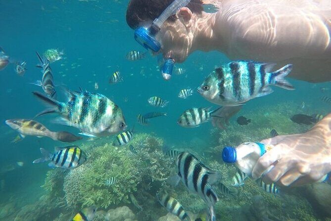 Gili Nanggu,Gili Kedis & Gili Sudak Hopping island & Snorkeling Tour - FAQ