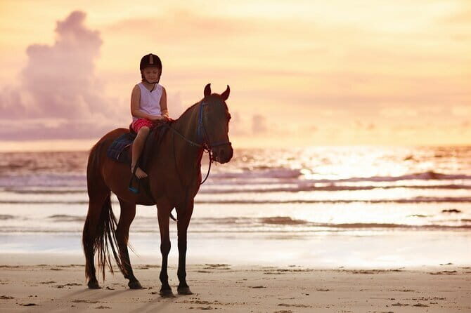 Gili Trawangan Beach Horseback Riding with Pickup Hotel - Why This Tour Is Worth Considering