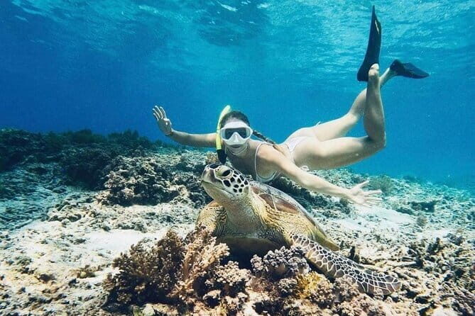 Gili Trawangan Snorkeling with Turtles & Underwater Statue - Key Points