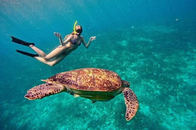 Gili Trawangan Snorkeling with Turtles & Underwater Statue - The Itinerary: What to Expect at Each Stop