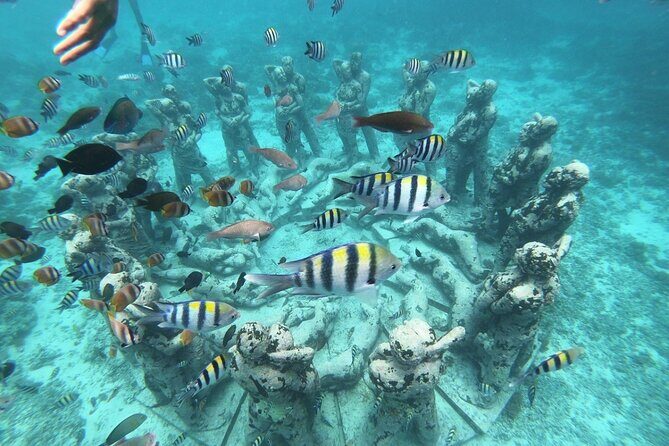 Gili Trawangan,Gili Meno& Gili Air Island:Snorkeling Day Trip Depart from Lombok - Key Points