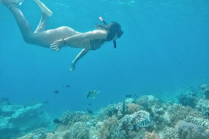 Gili Trawangan,Gili Meno& Gili Air Island:Snorkeling Day Trip Depart from Lombok - Who Should Take This Tour?