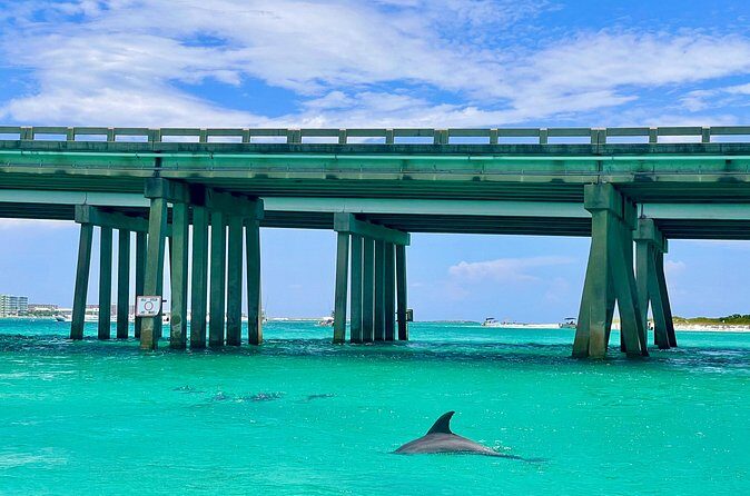 Gilligans 12 Passenger Pontoon Rental Departing Destin Harbor - Final Thoughts