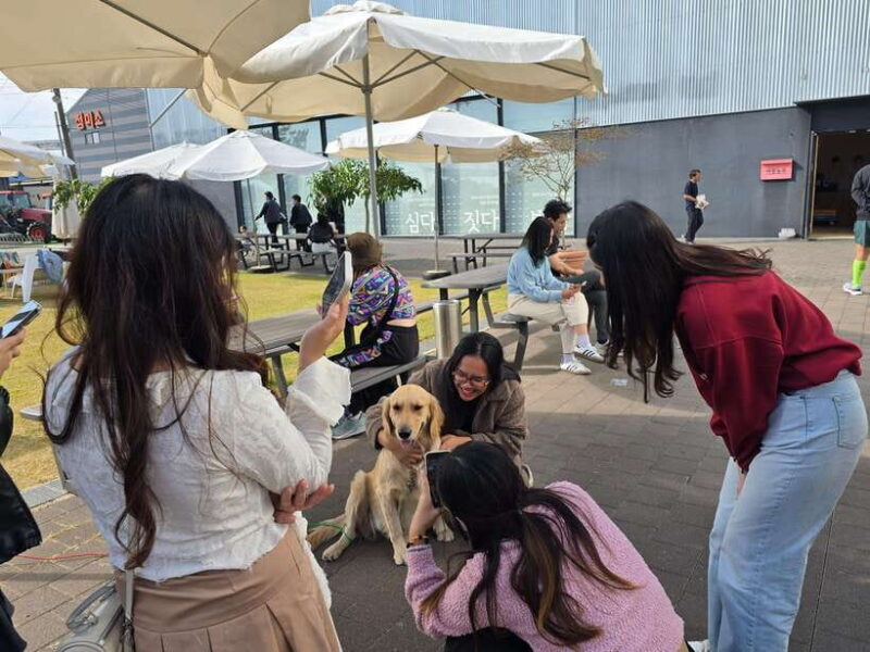 Gimpo: Gochujang Making & Aegibong Peace Eco Park Visit - Why This Tour Offers Great Value