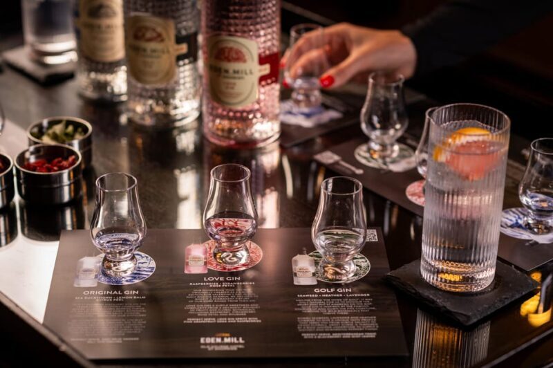 Gin Tasting Experience with a Perfect Serve - Key Points