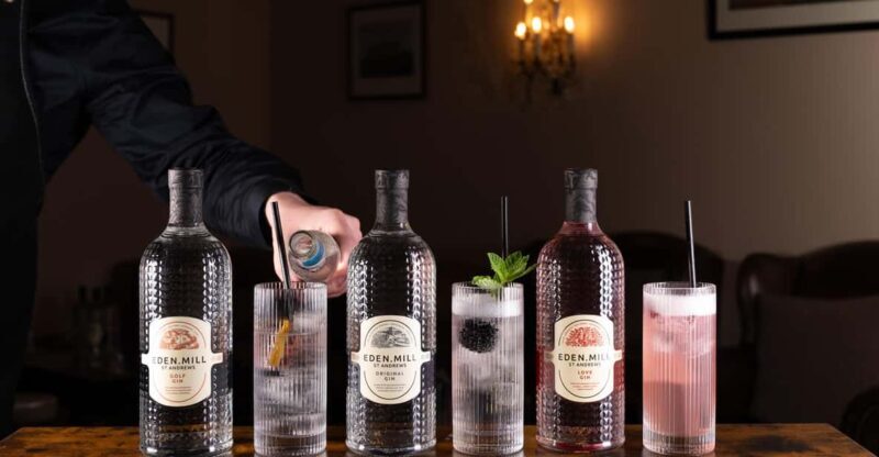 Gin Tasting Experience with a Perfect Serve - Who Should Consider This Experience?