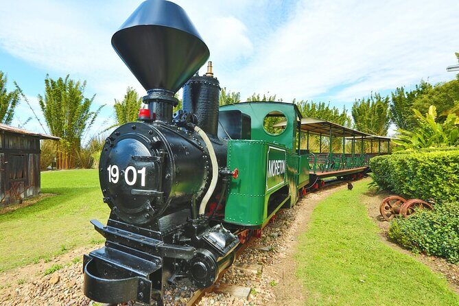 Ginger Factory and Nutworks Return Bus Transfer: Sunshine Coast - In-Depth Review: Exploring the Sunshine Coast’s Ginger and Nut Treasures