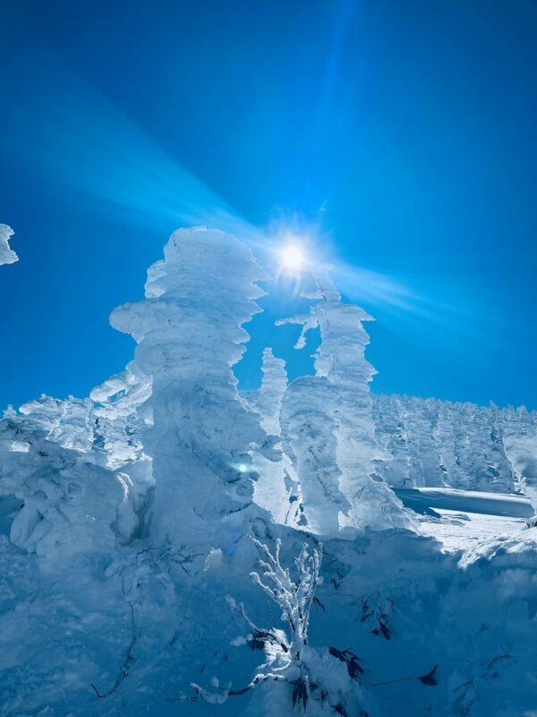 Ginzan Onsen + Yamagata Winery + Zao Ropeway + Mogami River Snow Viewing Boat 2-Day Tour (Hot spring hotel with 2 meals) - Day two: Zao’s ice trees from above