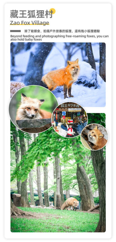 Ginzan Onsen & Zao Snow Monsters & Zao Fox Village 2-Day Tour - An Edo-era food stop on the way back