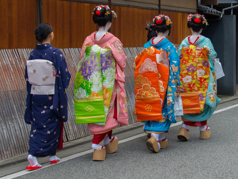 Gion 2-Hour Hidden Gems Guided Tour - Geisha history, explained in context