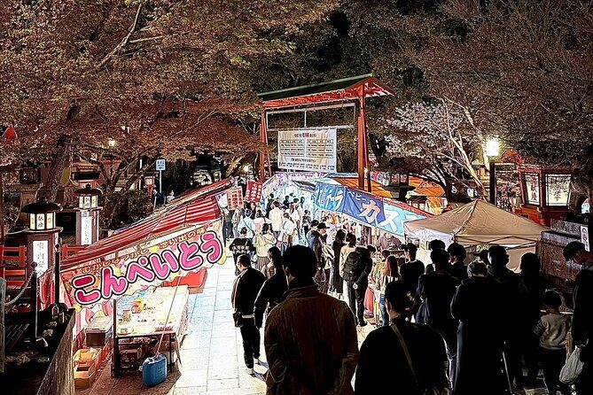 Gion Area Night Walking Private Tour ~Custom-made Tour~ - Key Points