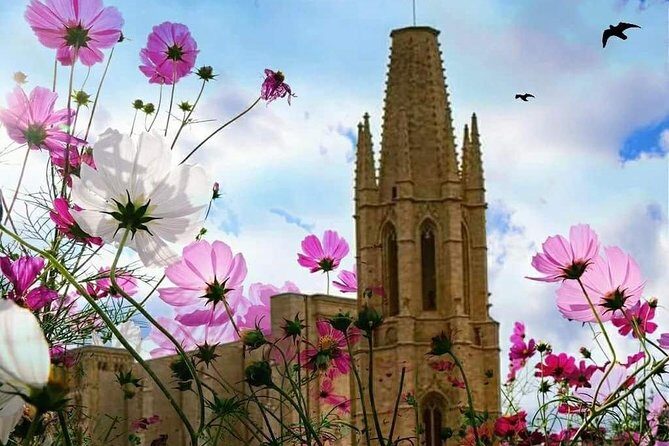 Girona Guided Tour with Cathedral, Arab Baths & St Feliu Basilica - Final Thoughts