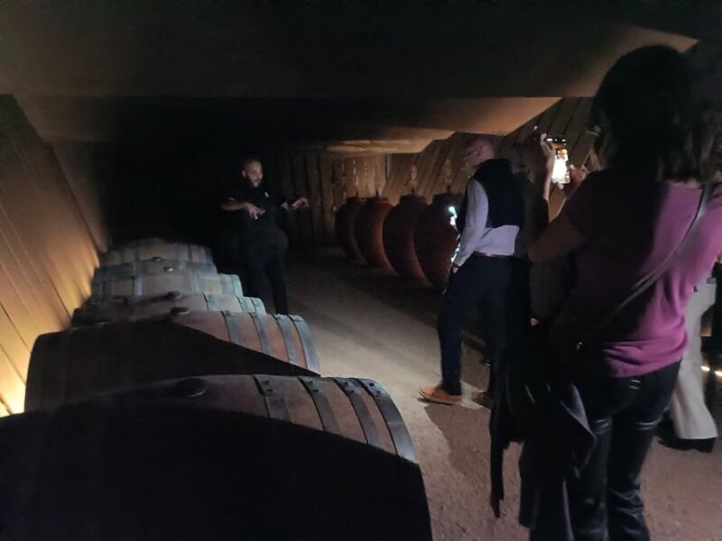Girona: Local Wineries Tour with Breakfast and Wine Tasting - Authentic Experiences and Authentic Flavors