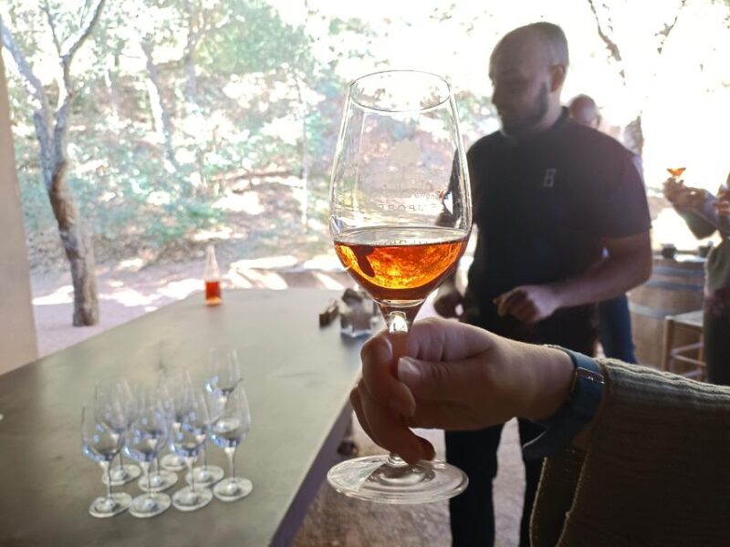 Girona: Local Wineries Tour with Breakfast and Wine Tasting - Who Should Consider This Tour?