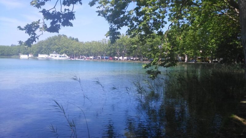 Girona: Volcano Area, Besalú, and Banyoles Lake Tour - Transportation & Group Dynamics