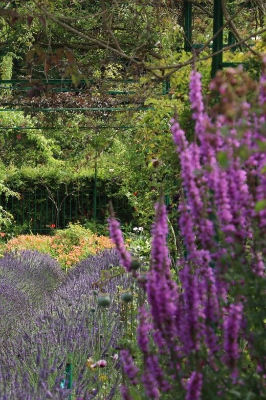Giverny Private Guided Walking Tour - Who Should Take This Tour?