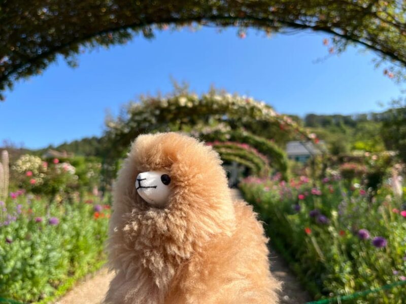 Giverny & Versailles Full-day Tour by Luxury Car - Final Thoughts