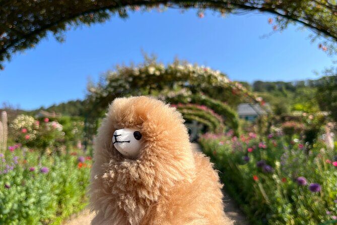Giverny & Versailles Private Guided Tour with Ticket Entry - A Full Breakdown: What to Expect on the Tour