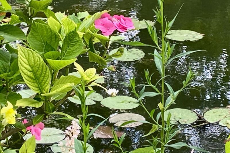 Giverny Versailles Trianon Small Group by Minivan from Paris - Frequently Asked Questions
