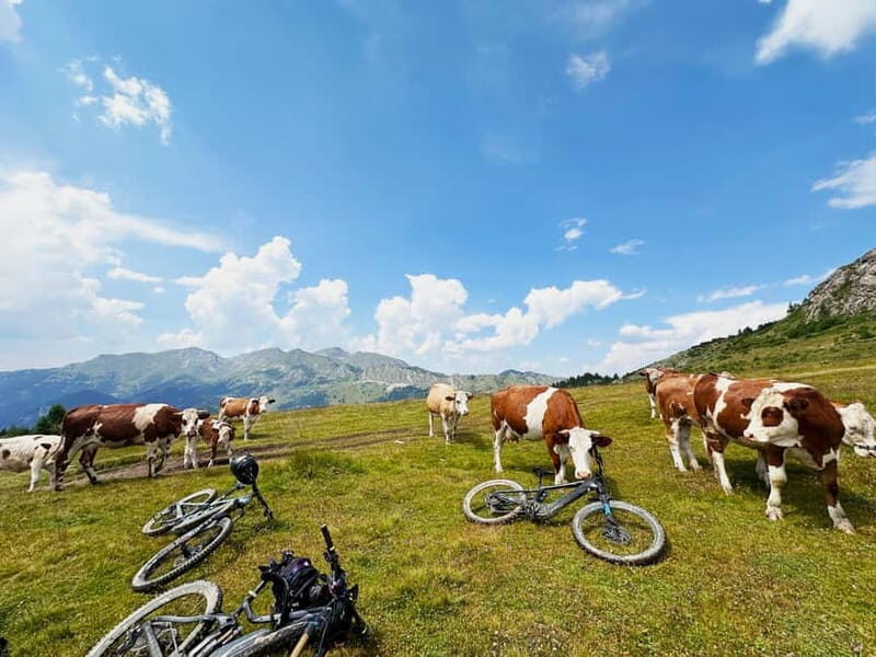 "Gjakova: 7 Day MTB Tour with tasting Epic Trails - Final Thoughts
