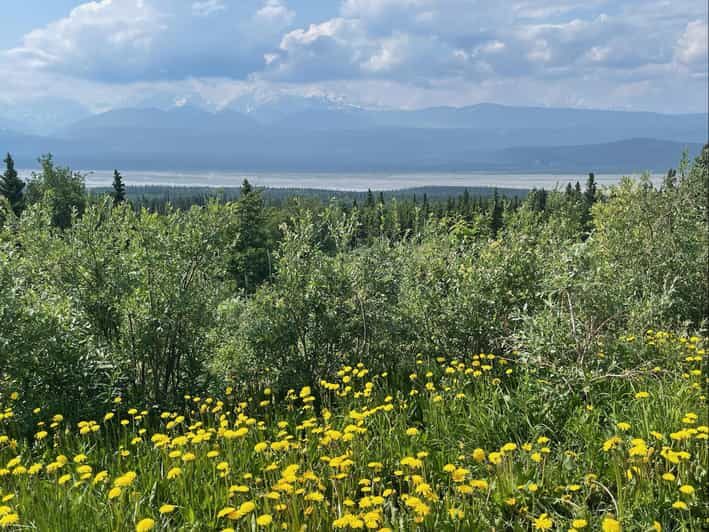 Glacial Lake, Waterfall and rainforest. Beauty of Turnagain! - The Experience: What You Can Expect