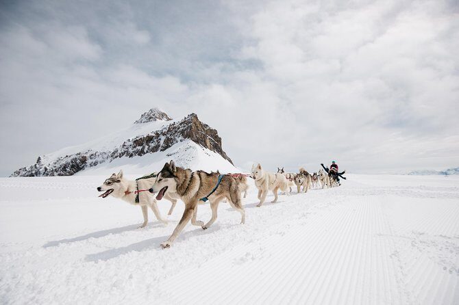 Glacier 3000 Ticket Including Cable Car and Peak Walk by Tissot - Final Thoughts