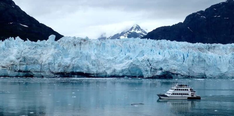 Glacier Bay: High Speed Catamaran Glacier & Wildlife Tour - An In-Depth Look at the Glacier Bay Catamaran Tour