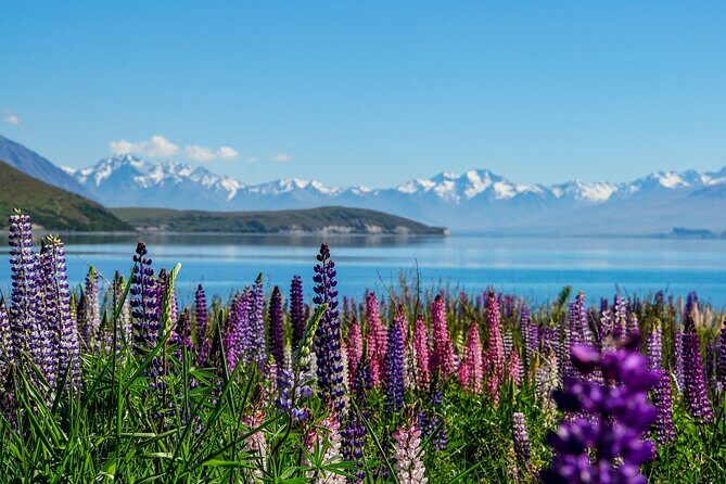 Glacier Discoverer 40 minute Helicopter flight from Mount Cook - FAQ