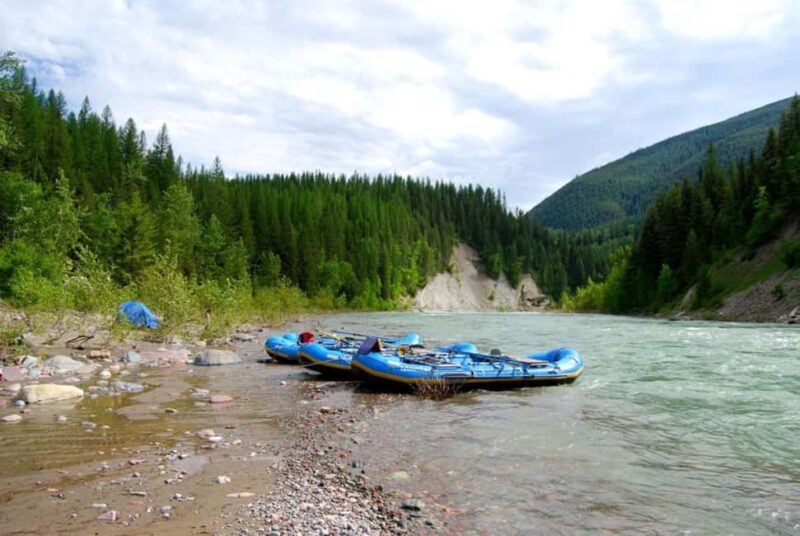 Glacier National Park: Scenic Float on the Flathead River - Key Points