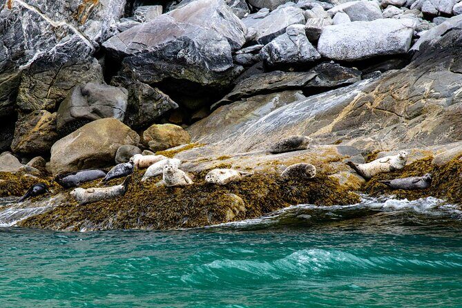 Glacier Point Wilderness Safari - Key Points