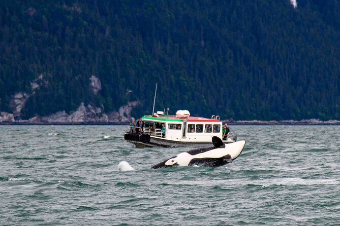 Glacier Point Wilderness Safari - Frequently Asked Questions