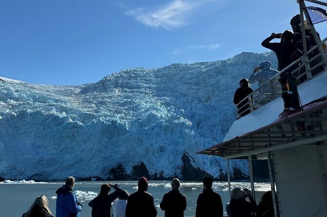 Glacier Quest Cruise and Coach Package - In-Depth Review