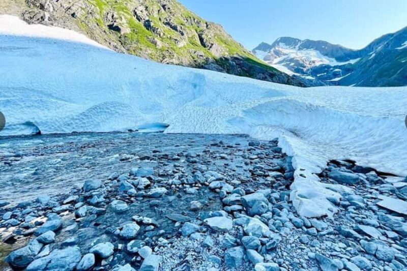 Glacier View & Wildlife Anchorage Adventure Tour - Discover the Beauty of Alaska on a Small-Group Tour from Anchorage