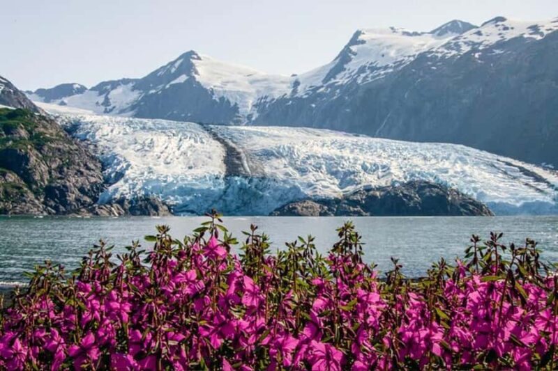 Glacier View & Wildlife Anchorage Adventure Tour - Frequently Asked Questions