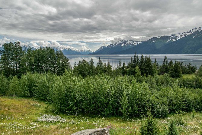 Glaciers and Wildlife: Super Scenic Day Tour from Anchorage - Who Would Enjoy This Tour?
