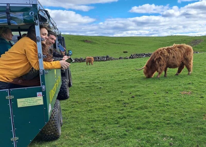 Glasgow: Highland Cow Trailer Tour with home baking - Frequently Asked Questions (FAQ)