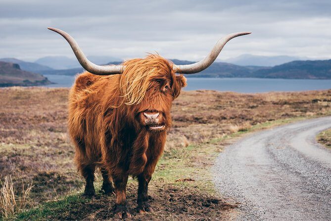 Glasgow: Isle of Skye, The Highlands and Loch Ness - 3 Day Tour - References