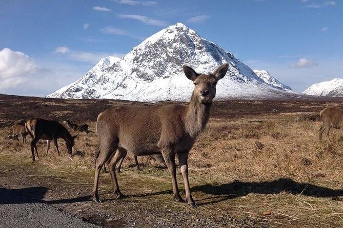 Glasgow: Loch Ness, Glencoe, and the Highlands Day Tour - Authentic Experiences and Real-World Insights