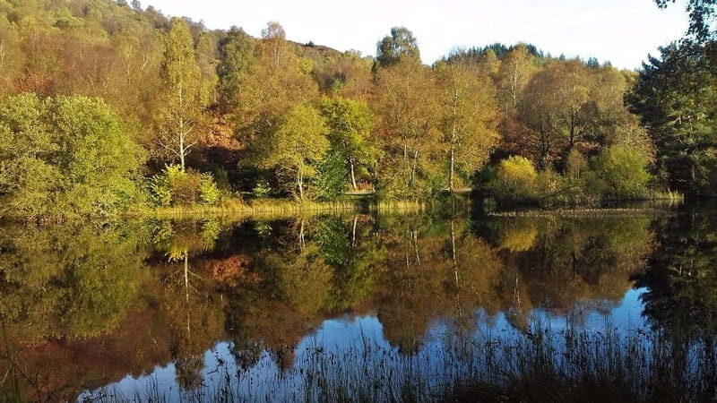 Glasgow Shore Excursion: - Loch Lomond - Stirling Castle - Final Thoughts