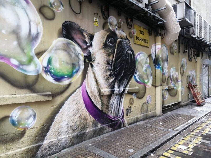 Glasgow: Street Art Guided Walking Tour - FAQ
