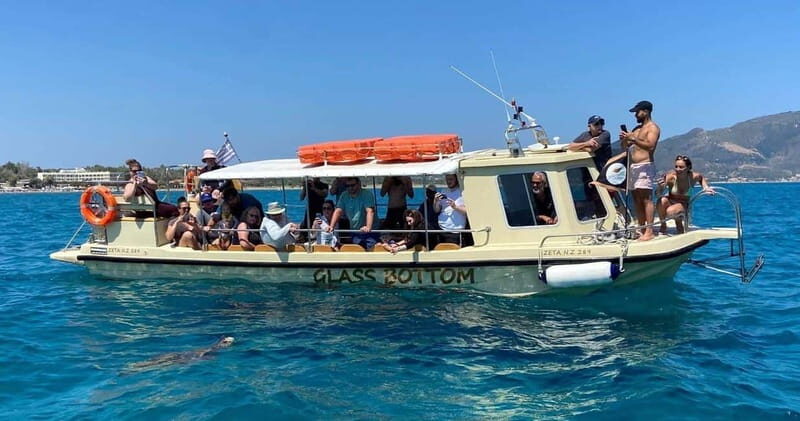 Glass boat cruises to spot turtles - The Sum Up