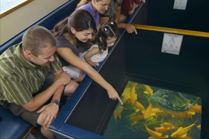 Glass Bottom Boat: Catalina Island Tour - Discover Catalina Island’s Underwater World with a Glass Bottom Boat Tour