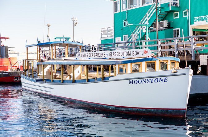 Glass Bottom Boat: Catalina Island Tour - Practical Tips for Your Trip