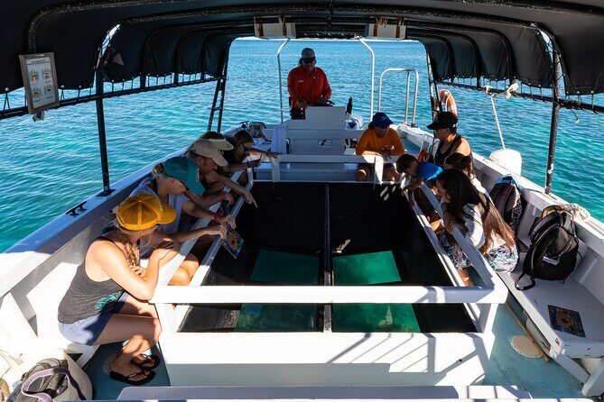 Glass-Bottom Boat Cruise from Waikoloa - Key Points