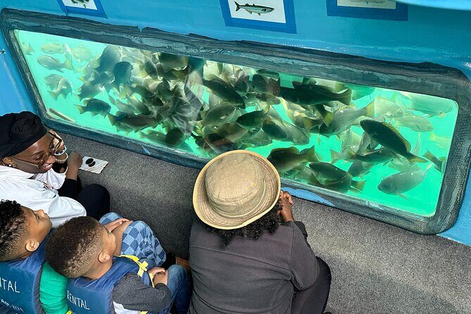 Glass Bottom Boat Ride in Redondo Beach - Authentic Experiences and Traveler Feedback