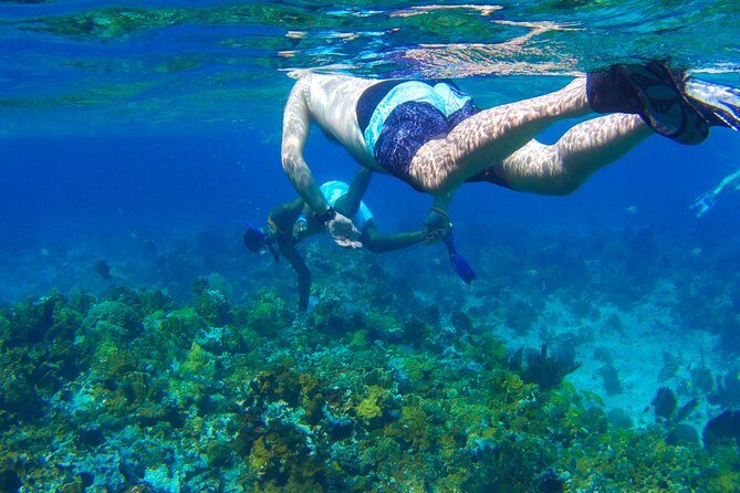 Glass Bottom Boat Ride/Snorkeling/Booby Cay Island from Grand Palladium Lucea - Exploring the Details of the Glass Bottom Boat & Snorkeling Tour