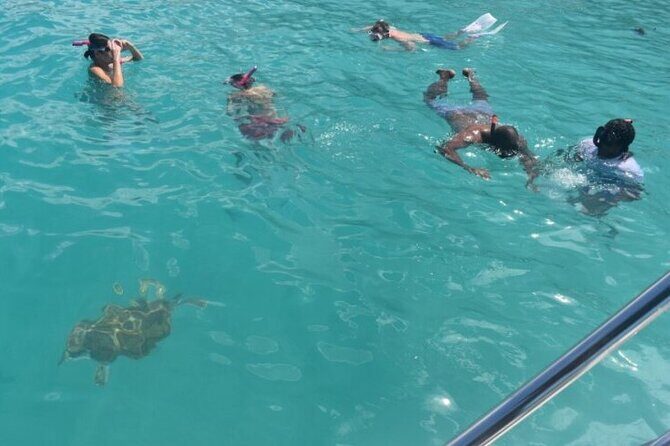 Glass Bottom Boat Snorkeling With Turtles & Shipwreck In Barbados - FAQs