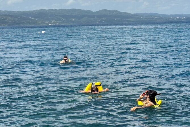 Glass bottom Boat Tour and Snorkeling Experience in Montego Bay - The Practicalities: What to Expect and Consider
