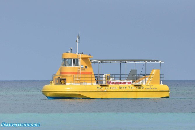 Glass Bottom Boat Tour and West Bay Beach - An In-Depth Look at the Experience